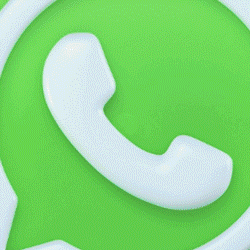 WHATSAPP BOLAPELANGI